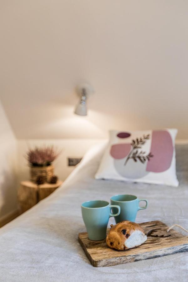 Apartamenty Forrest Nowotarska Zakopane Dış mekan fotoğraf